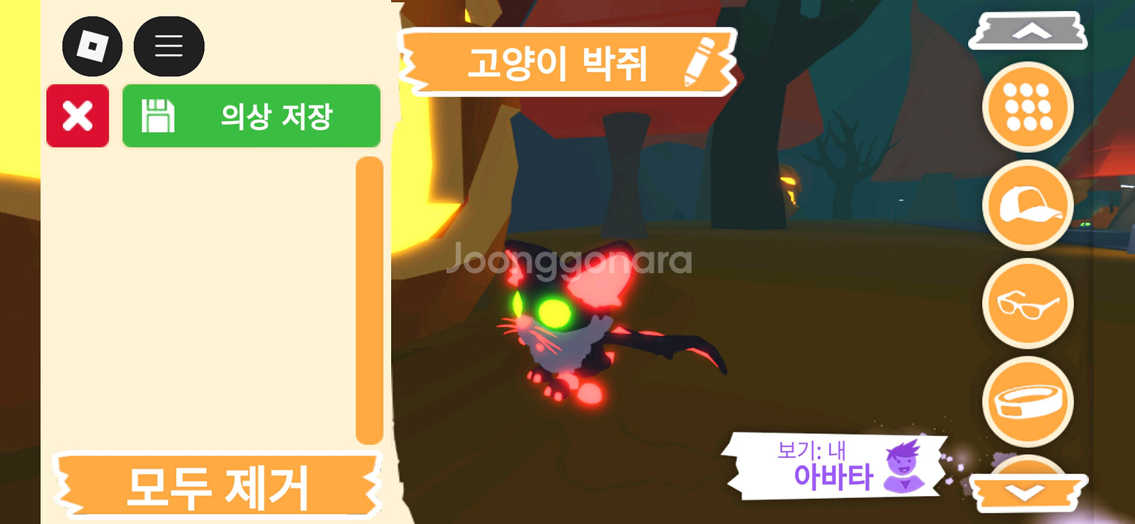 입양하세요 펫 메가네온 고양이 박쥐(메고박)판매합니다--1