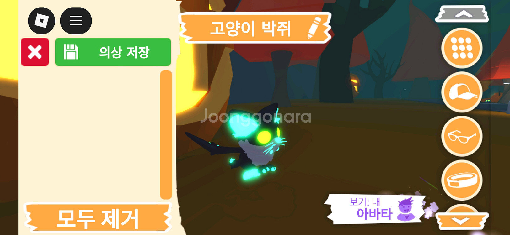 입양하세요 펫 메가네온 고양이 박쥐(메고박)판매합니다--2