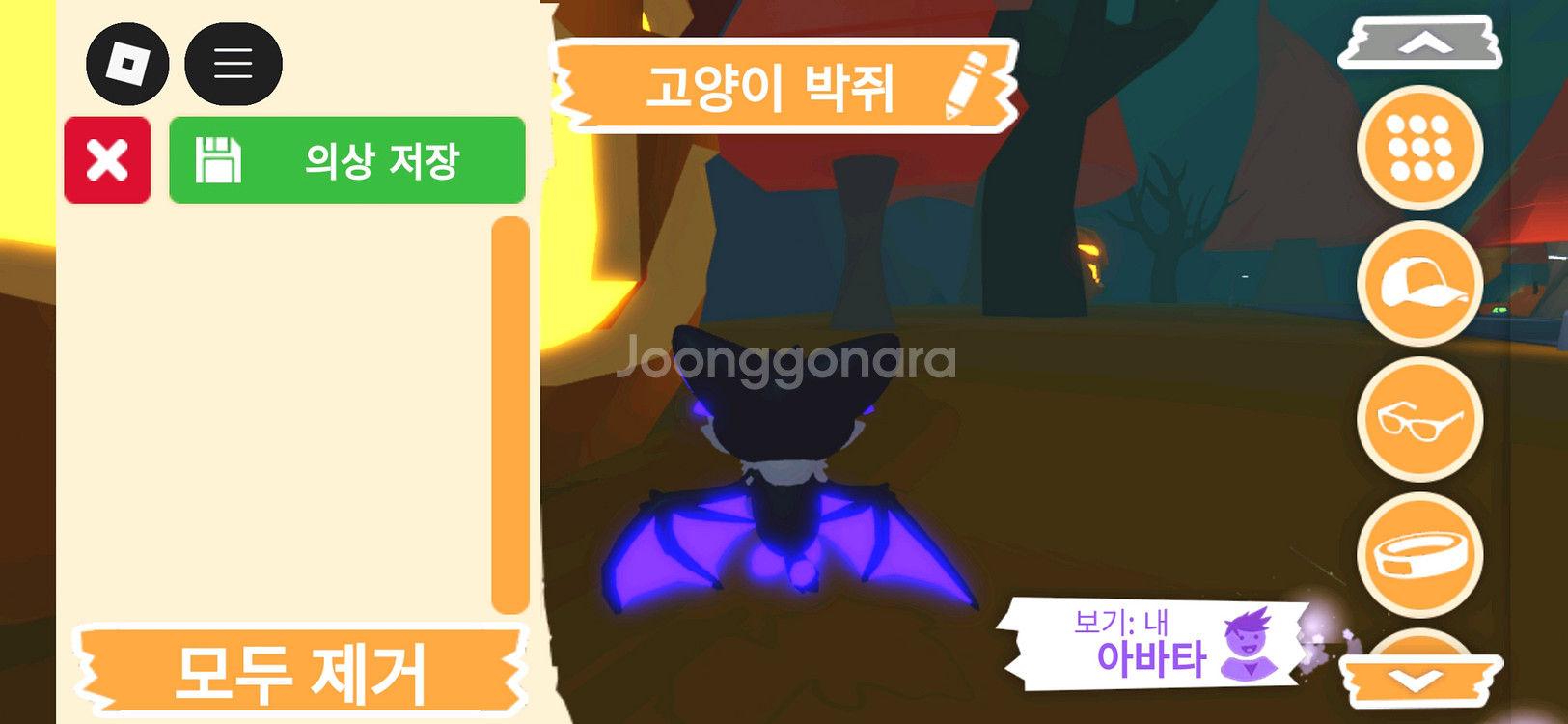 입양하세요 펫 메가네온 고양이 박쥐(메고박)판매합니다--3