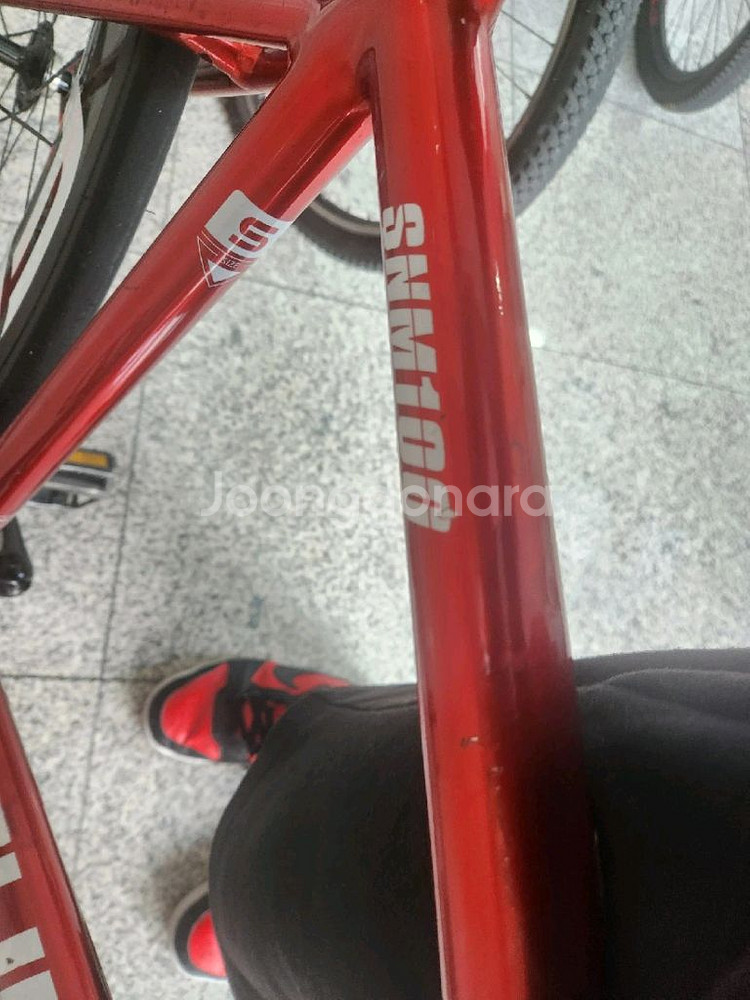 쓰나미 레드와인 대차봐요--4