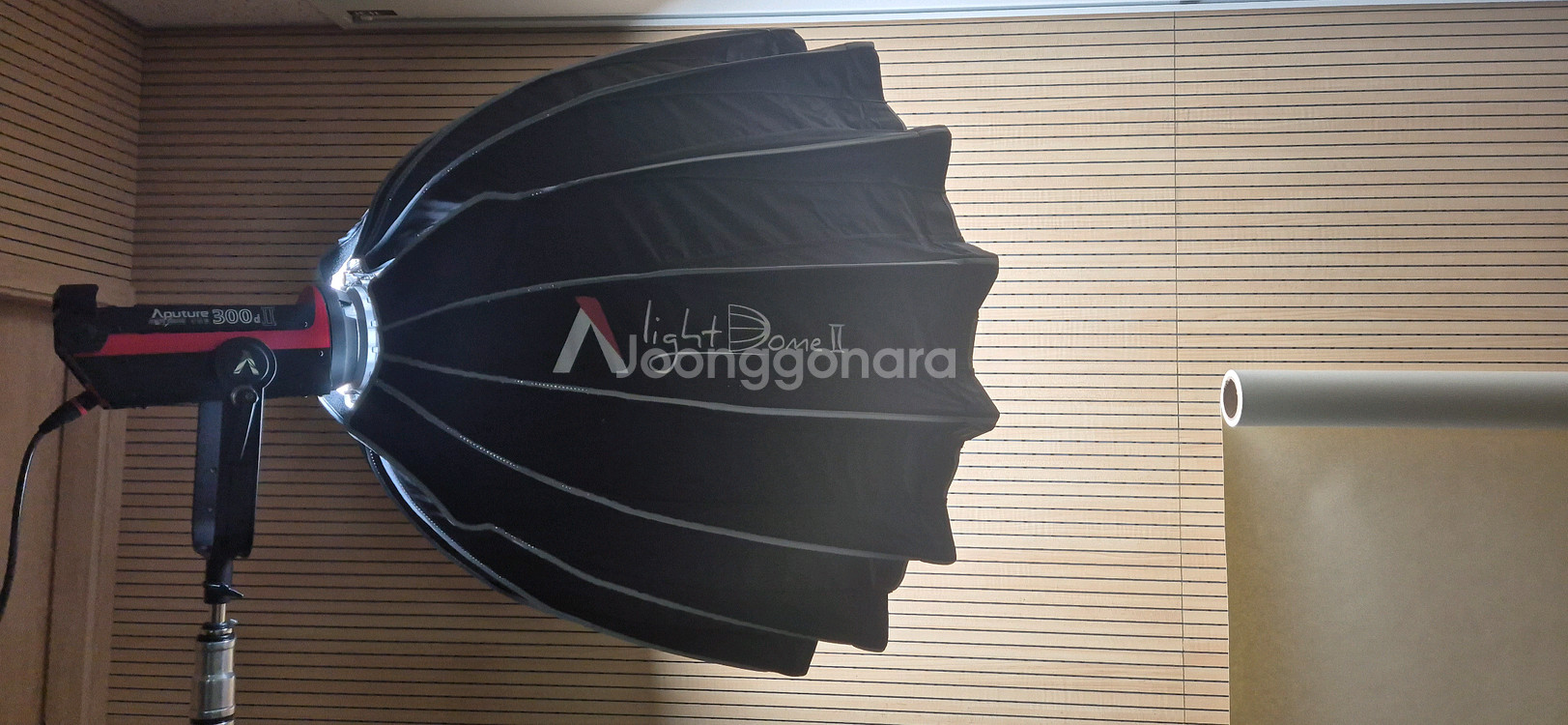 (조명)어퓨쳐 COB 300d II + 라이트돔 II--0