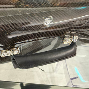 어코드 바이올린 케이스 3D