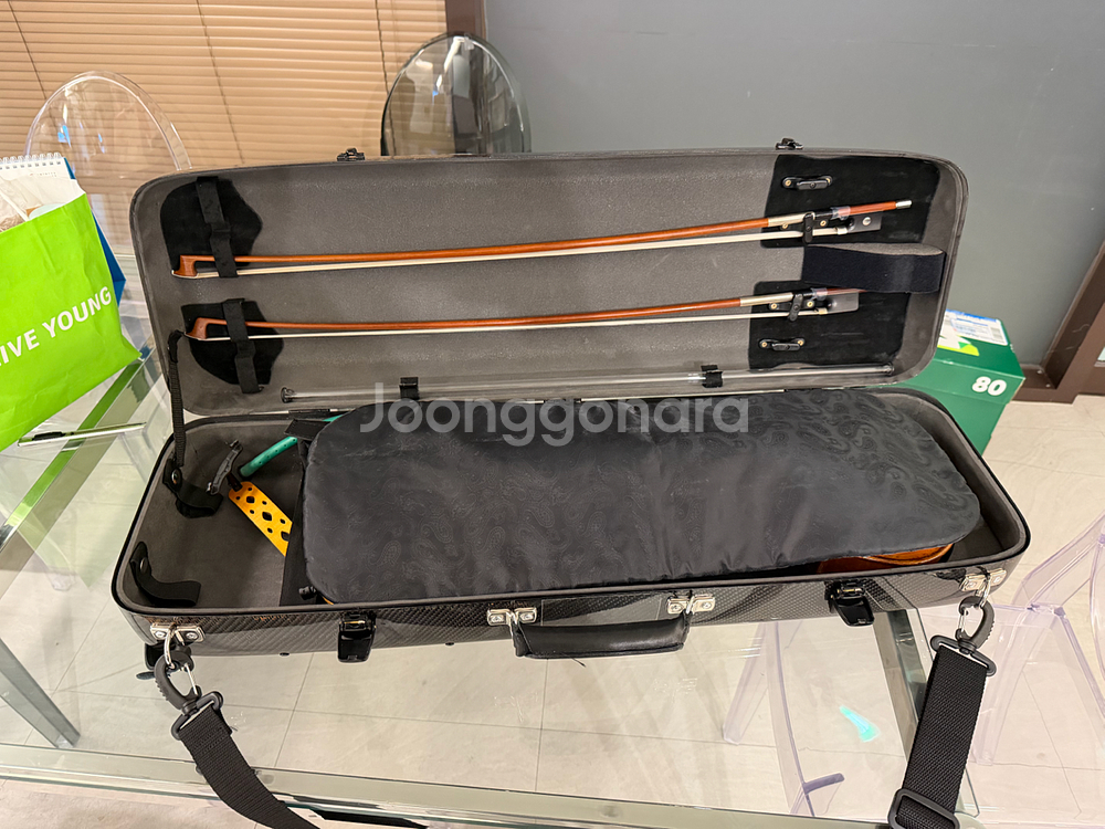 어코드 바이올린 케이스 3D--3