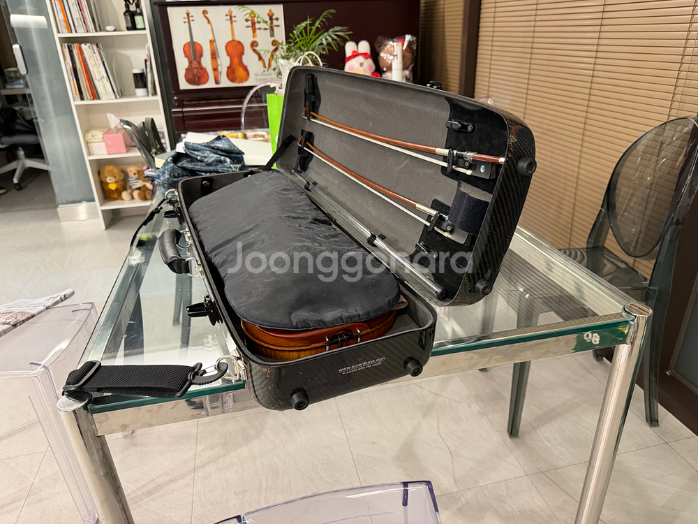 어코드 바이올린 케이스 3D--4