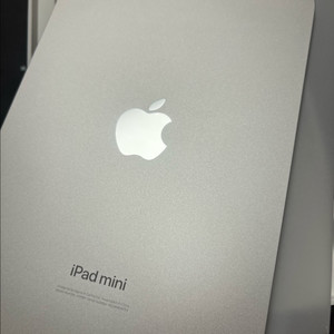 아이패드 미니