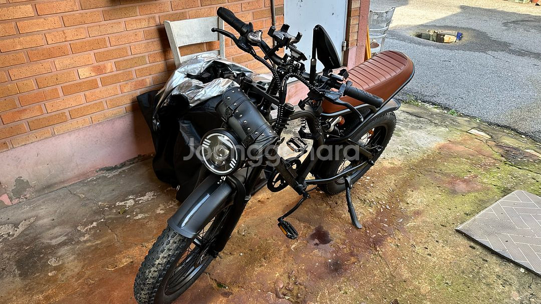 BS 슬릭 자토바이 이지베이션 전기자전거 일상레저 & 배달겸용--1