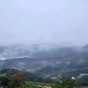 cgv 일반관 2d 영화 2인 예매