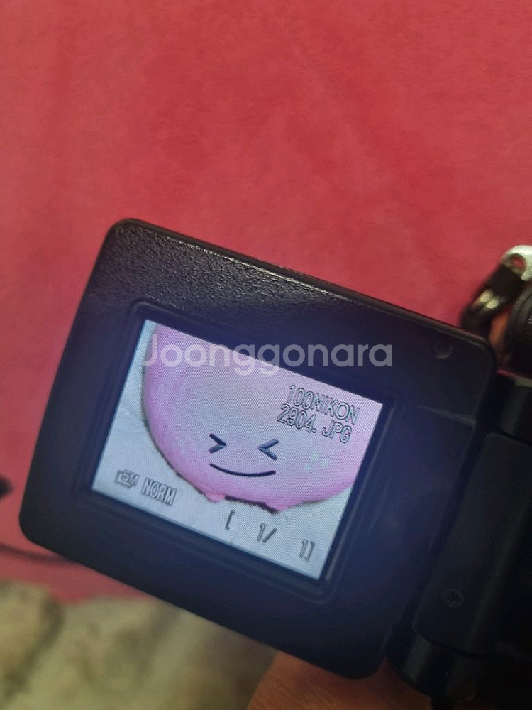 니콘 쿨픽스5400 디지털 카메라 레트로 디카--6