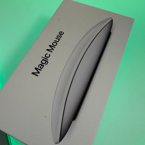 애플 매직마우스 2세대