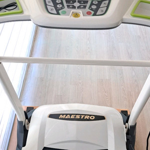 에고진 마에스트로 V2 런닝머신