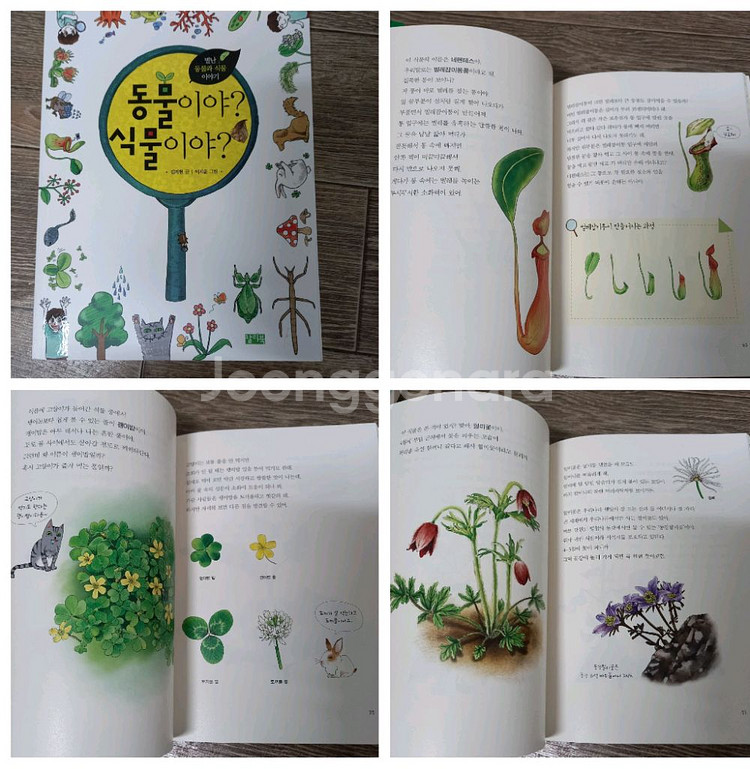 초등2,3학년 권장도서,단행본--6