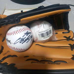 썬버드 야구 글러브 SL900 + 양현종 싸인볼