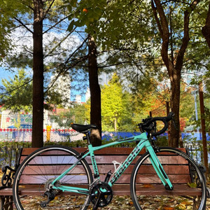 비앙키 니로네7 105급 알루미늄