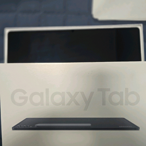 갤럭시탭 S10 울트라 256g wifi