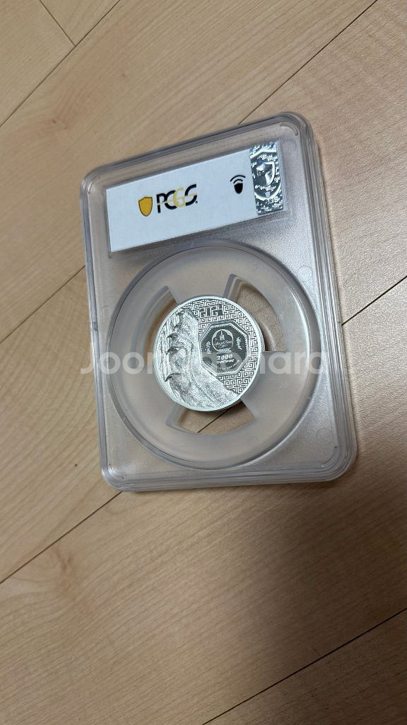 2025 아메리칸 이글 실버 프루프 슬랩 은화 PCGS MS69--6