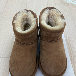 호주어그 190 / 11-12 / 31