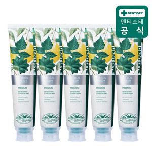 덴티스테 시트러스 후레쉬 치약 200g 5개(불소함유)