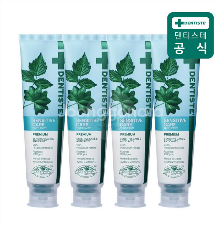 덴티스테 뉴센서티브케어 치약 200g 4개 (시린이완화)--0