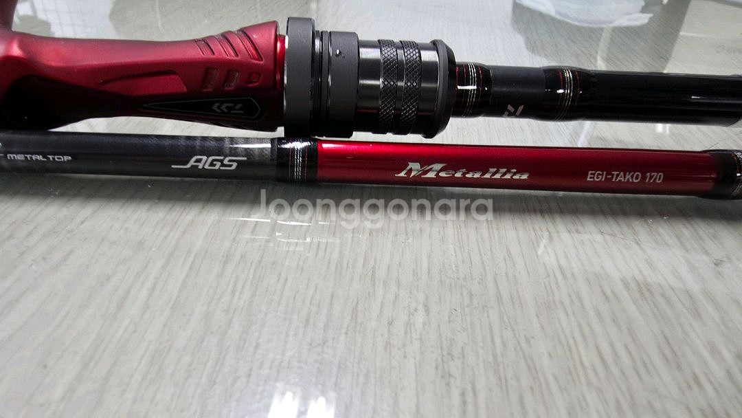 메탈리아 에기타코 170--6