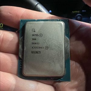 인텔300 랩터레이크 팝니다