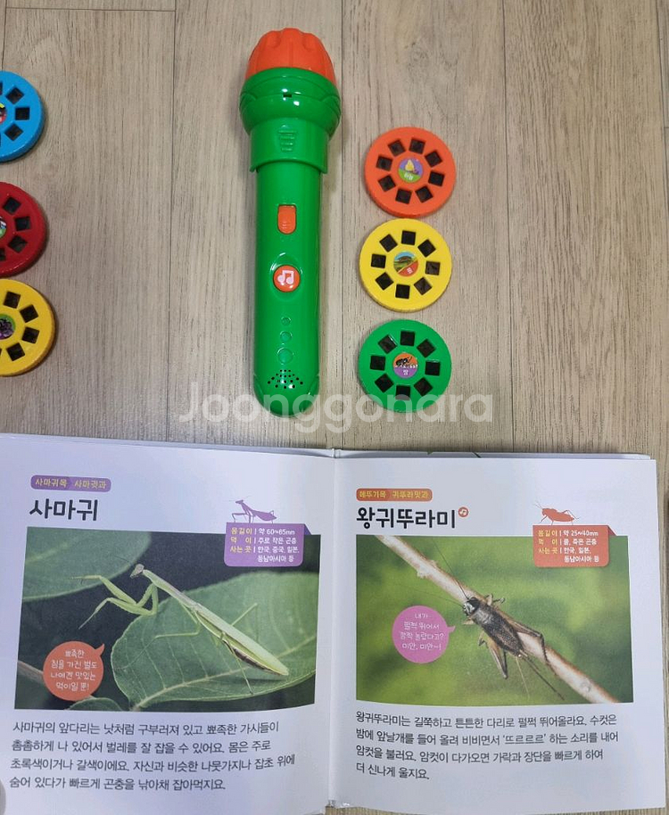 애플비 생생 손전등 사운드북 3개(공룡,곤충,바다동물)+타이거 프로젝트 손전등 장난감(동물,공룡 등)--2