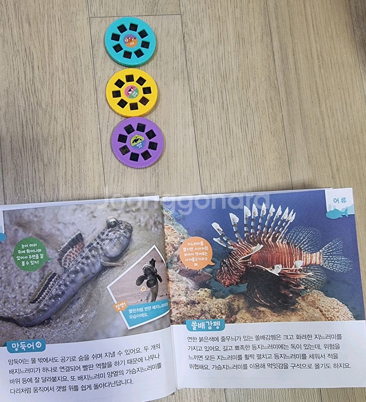 애플비 생생 손전등 사운드북 3개(공룡,곤충,바다동물)+타이거 프로젝트 손전등 장난감(동물,공룡 등)--4
