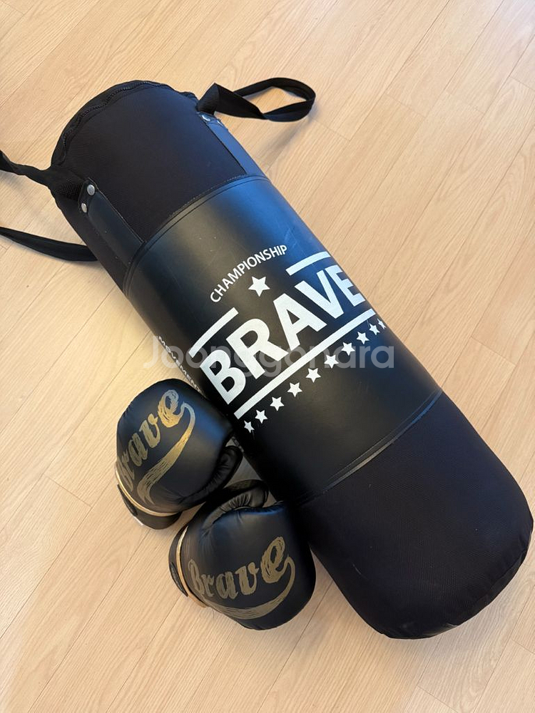 브레이브 샌드백 8kg + 브레이브 글러브--0