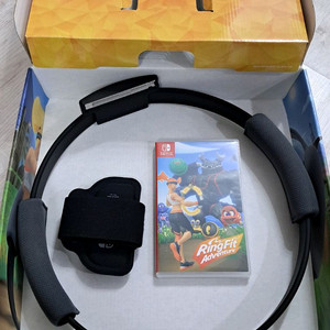 닌텐도 스위치 링피트