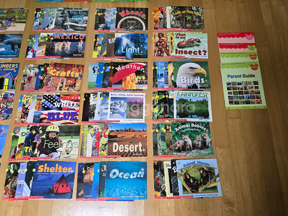 잠수네영어, 문진미디어, 스콜라스틱 이머전트 리더스 120권 세트--4