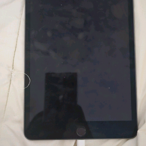 아이패드 미니 5세대 64GB