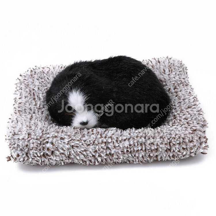 새 미니 검정색 버니즈 리얼펫 강아지 제습 인형 활성탄--2