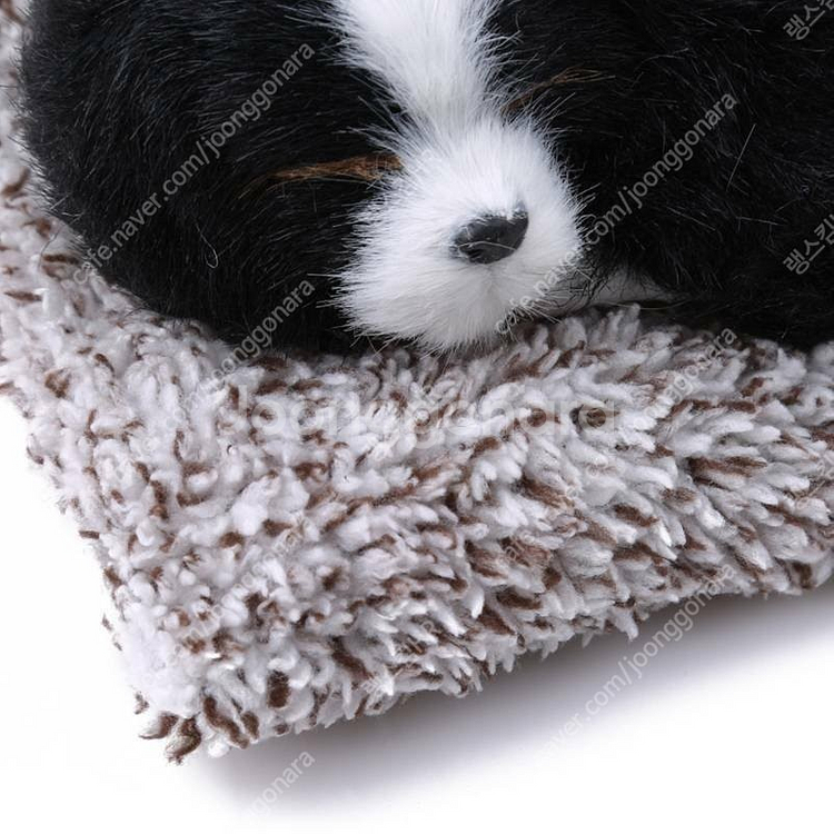 새 미니 검정색 버니즈 리얼펫 강아지 제습 인형 활성탄--1