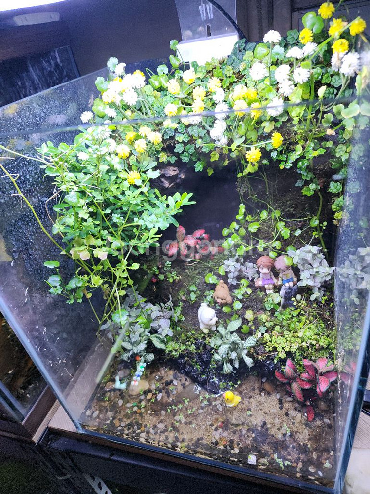 아크릴 어항 세트--2