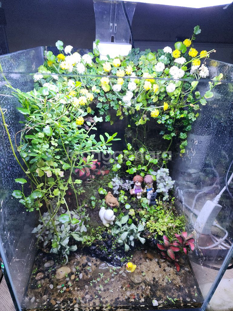 아크릴 어항 세트--0