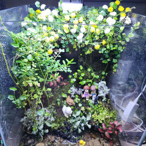 아크릴 어항 세트