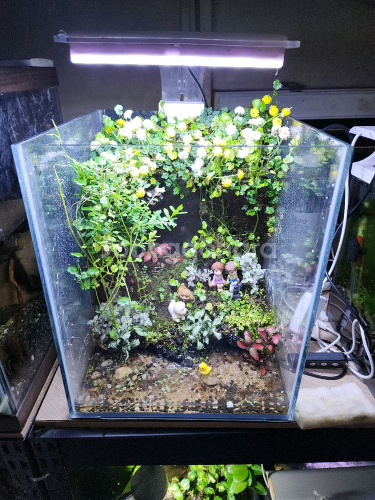 아크릴 어항 세트--4