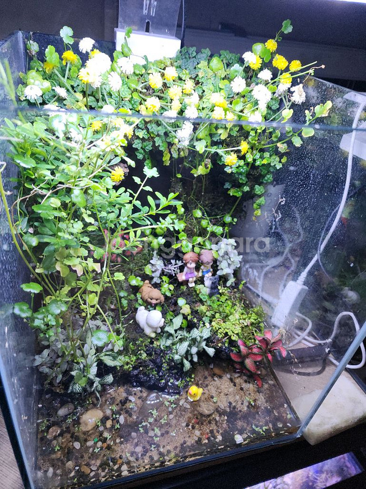 아크릴 어항 세트--3