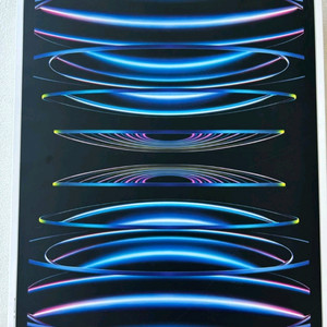 아이패드 프로 12.9 6세대 M2 128GB Wi-Fi+Cellular