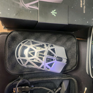 beast x max 짐승 맥스 실버