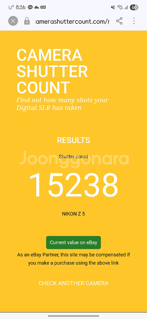 니콘Z5 + 니콘Z 28-75mm 렌즈 + 빌트록스85mm--2