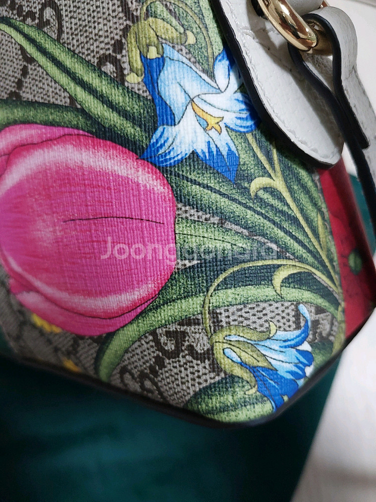 (정품)구찌 오피디아 플로라 돔 스몰 크로스백 499621--2