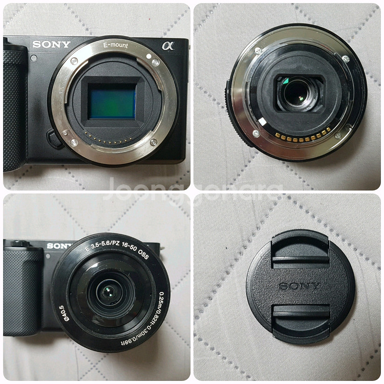 소니 ZV-E10 + 스몰리그 케이지--6