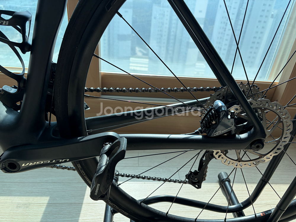 자이언트 tcr 어드밴스 1 (M)--1