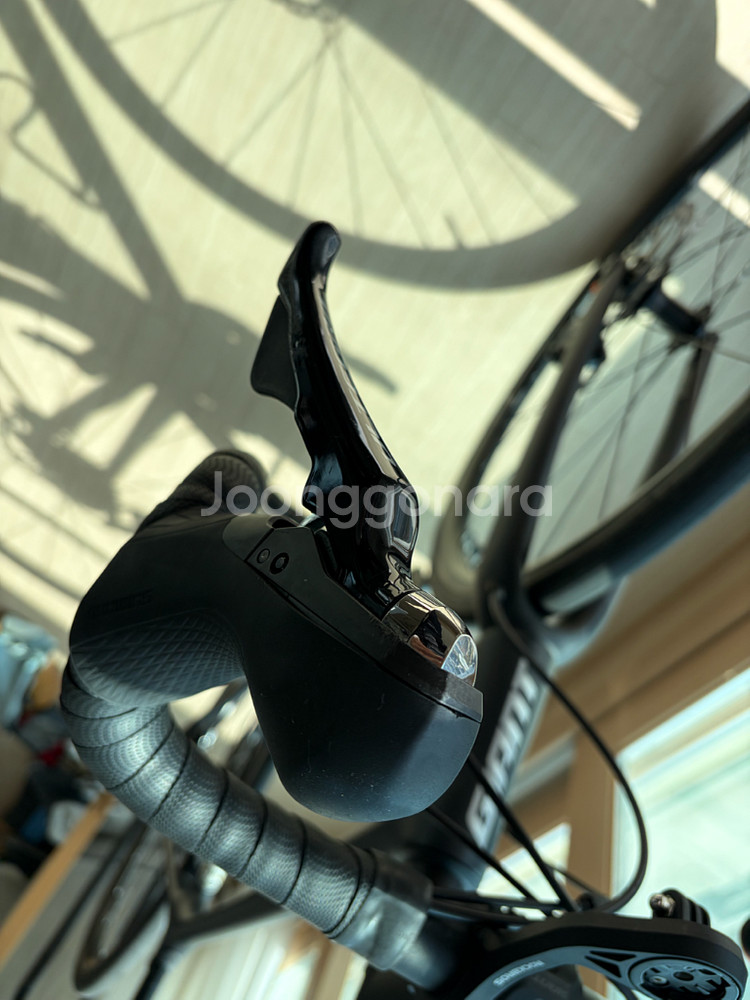 자이언트 tcr 어드밴스 1 (M)--2