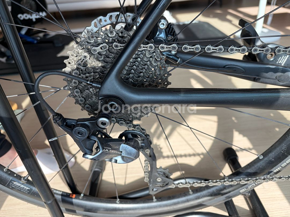 자이언트 tcr 어드밴스 1 (M)--4