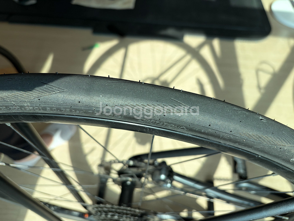 자이언트 tcr 어드밴스 1 (M)--5