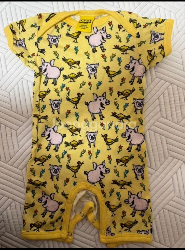 던스 돼지 패턴 아기 덩가리 68--0