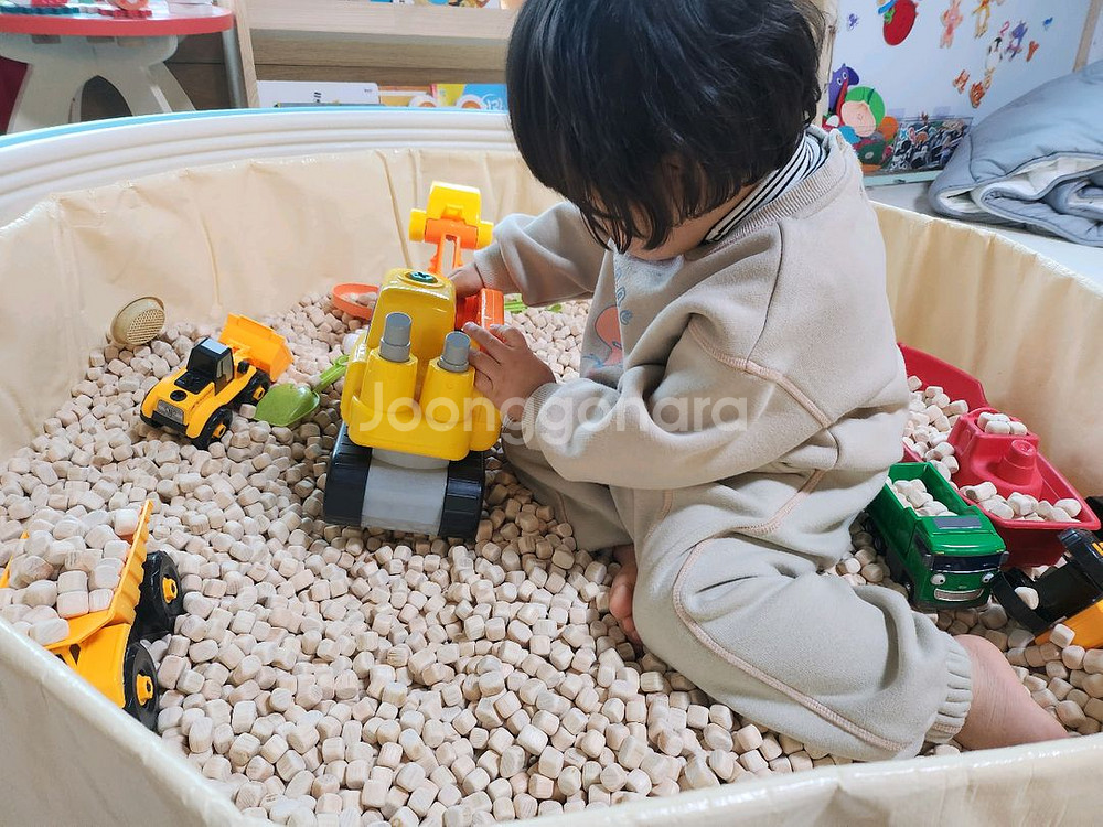 프리미엄 편백 놀이터 15kg + 놀이풀장 + 덮개--1