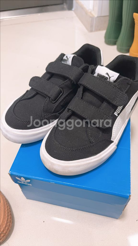 7-8세 벨크로 운동화) 퓨마키즈, 노베스타 200--3