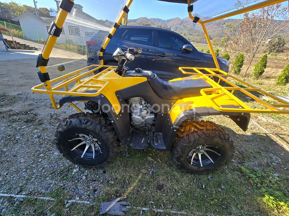 4륜 250cc 사발이 오토바이--5